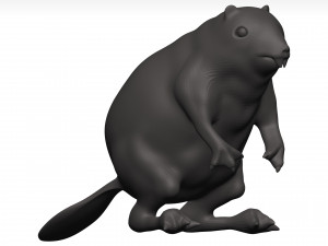 Beaver Model 3D