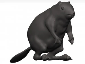 Beaver 3D Model