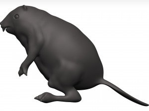 Beaver Model 3D