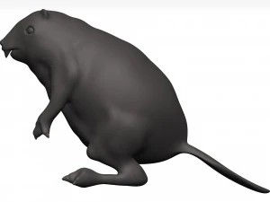 Beaver 3D Model