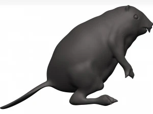 Beaver 3D Model
