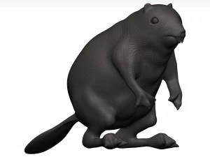 Beaver 3D Model