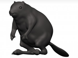 Beaver Model 3D