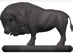 Bison Modello 3D