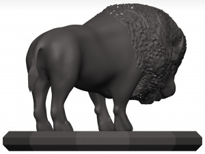 Bison Modello 3D