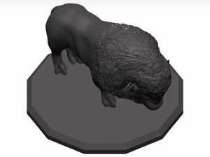 Bison Modello 3D