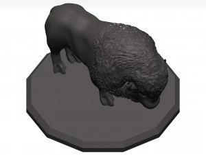 Bison 3D Model