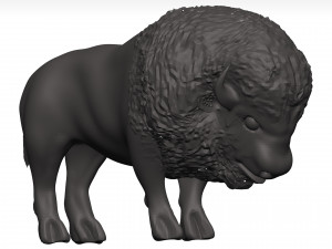 Bison Modello 3D