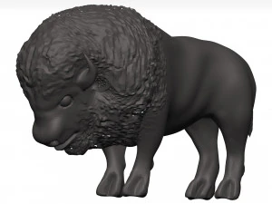 Bison 3D Model