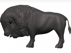 Bison Modello 3D