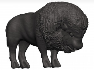 Bison Modello 3D