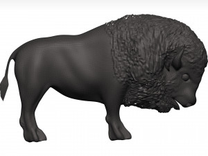 Bison Modello 3D