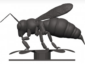 Bee 3D Model