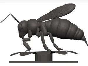 Bee 3D Model
