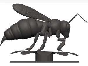 Bee 3D Model