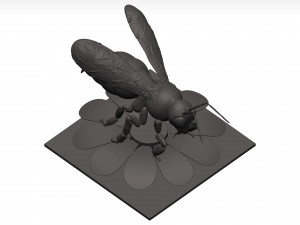 Bee 3D Model