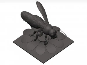 Bee 3D Model