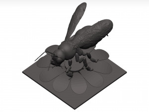 Bee 3D Model