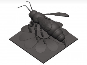Bee 3D Model