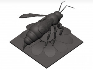 Bee 3D Model