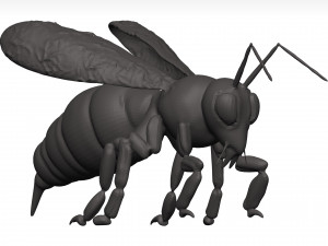 Bee 3D Model