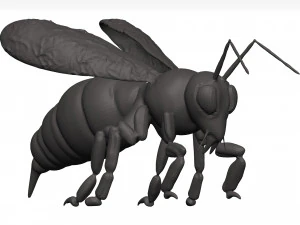 Bee 3D Model