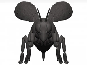 Bee 3D Model