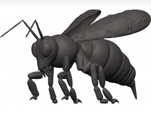 Bee 3D Model