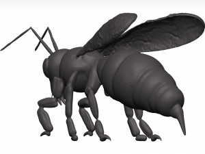 Bee 3D Model