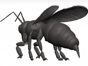 Bee 3D Model