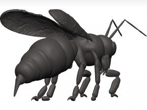 Bee 3D Model