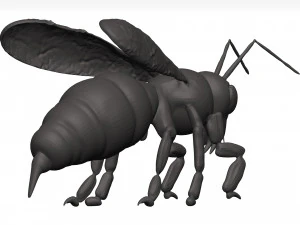 Bee 3D Model