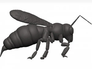 Bee 3D Model