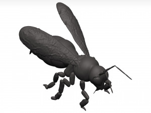 Bee 3D Model
