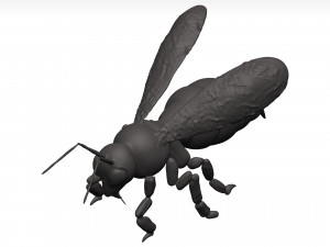 Bee 3D Model