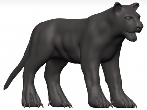 Black leopard 3D मॉडल