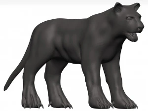 Black leopard 3D Model
