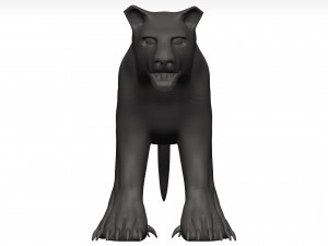 Black leopard 3D मॉडल