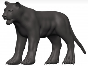 Black leopard 3D मॉडल