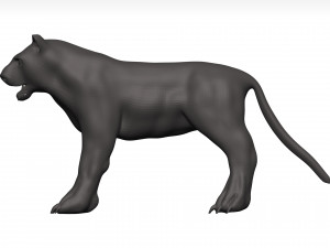 Black leopard 3D मॉडल
