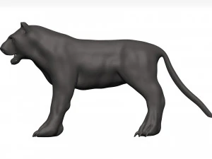 Black leopard 3D Model