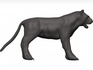 Black leopard 3D मॉडल