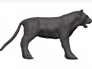Black leopard 3D Model