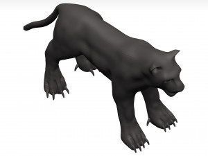 Black leopard 3D मॉडल