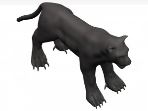 Black leopard 3D Model