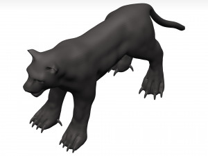 Black leopard 3D मॉडल