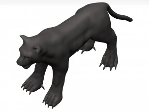 Black leopard 3D Model