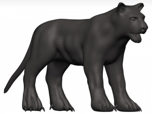 Black leopard 3D मॉडल