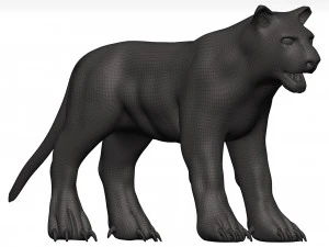Black leopard 3D Model