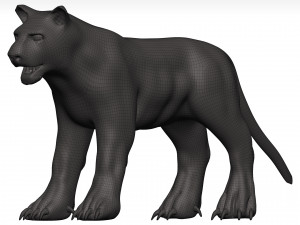 Black leopard 3D मॉडल
